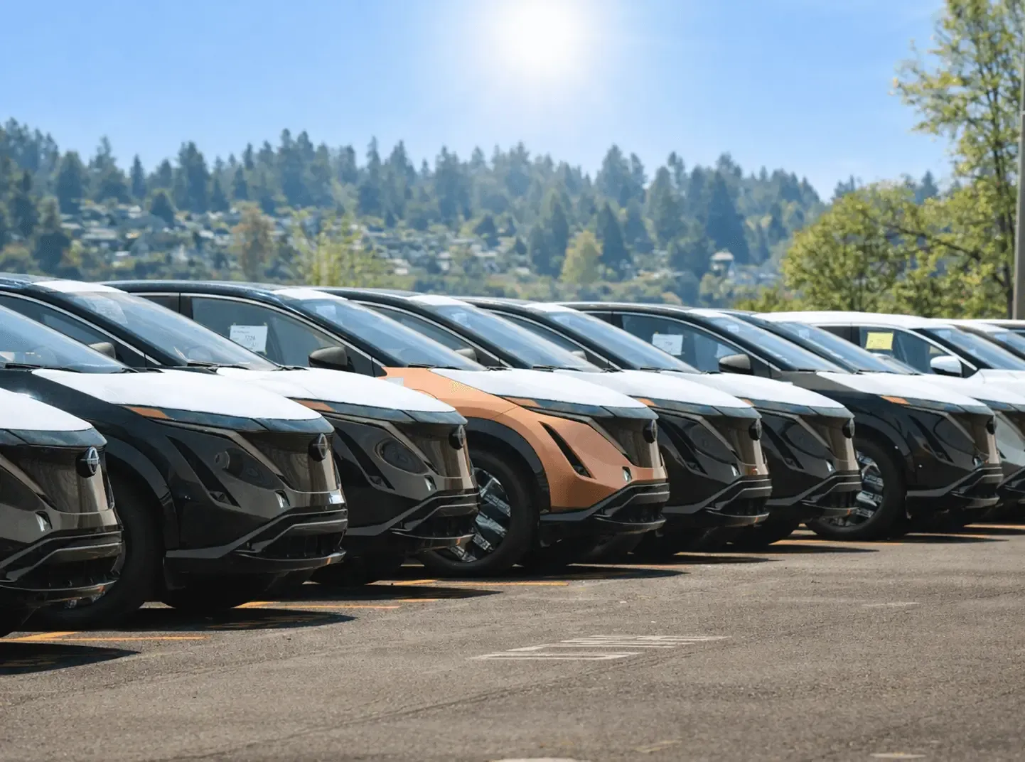 a fleet of electric cars in a parking lot