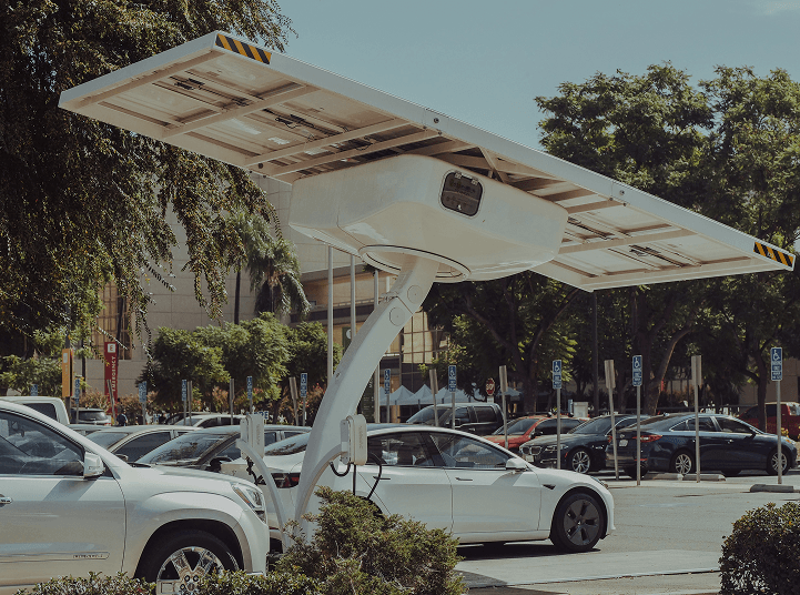Charge Point Operators
